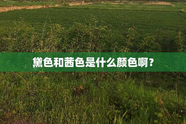 黛色和茜色是什么颜色啊？