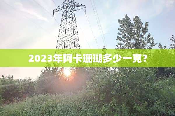 2023年阿卡珊瑚多少一克？