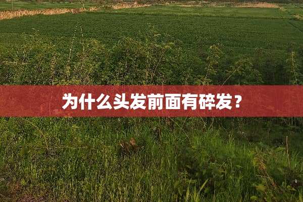 为什么头发前面有碎发？