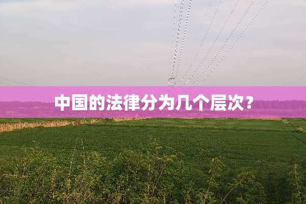 中国的法律分为几个层次？