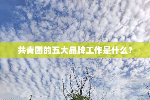 共青团的五大品牌工作是什么？