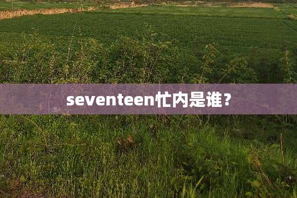 seventeen忙内是谁？