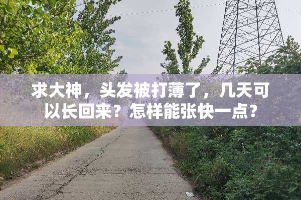 求大神，头发被打薄了，几天可以长回来？怎样能张快一点？