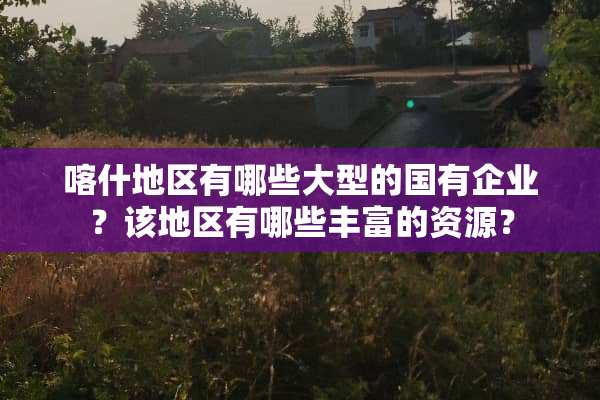 喀什地区有哪些大型的国有企业？该地区有哪些丰富的资源？