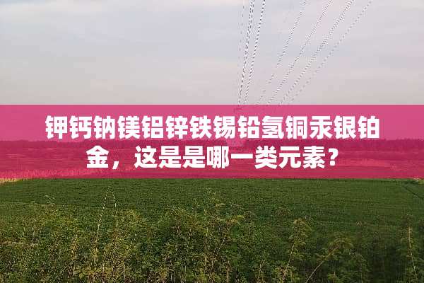 钾钙钠镁铝锌铁锡铅氢铜汞银铂金，这是是哪一类元素？