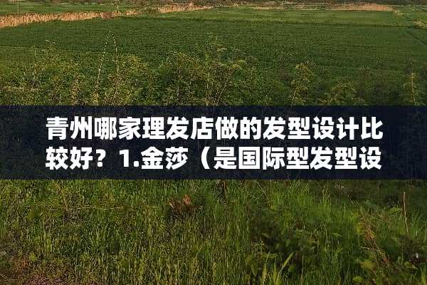 青州哪家理发店做的发型设计比较好？1.金莎（是国际型发型设计中心