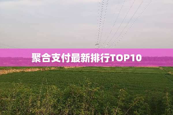 聚合支付最新排行TOP10
