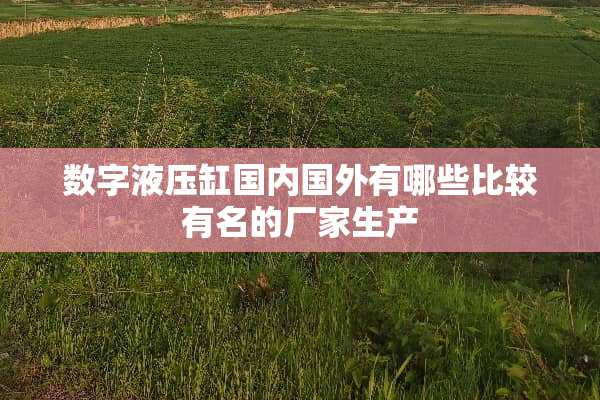 数字液压缸国内国外有哪些比较有名的厂家生产