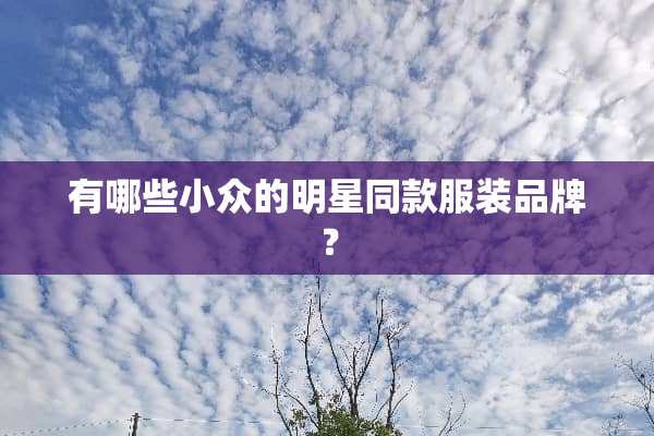 有哪些小众的明星同款服装品牌？