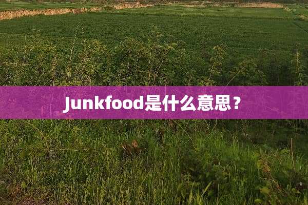 Junkfood是什么意思？