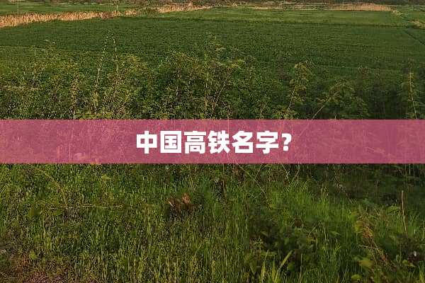 中国高铁名字？