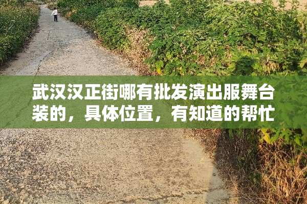 武汉汉正街哪有批发演出服舞台装的，具体位置，有知道的帮忙告诉下？