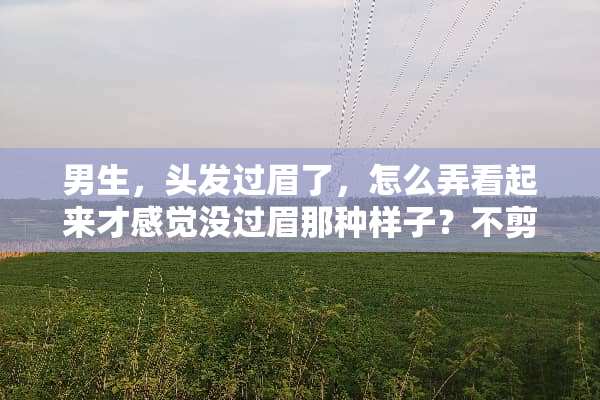 男生，头发过眉了，怎么弄看起来才感觉没过眉那种样子？不剪？