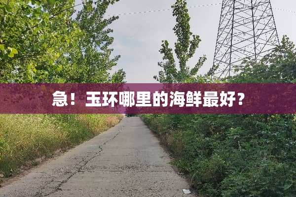 急！玉环哪里的海鲜最好？