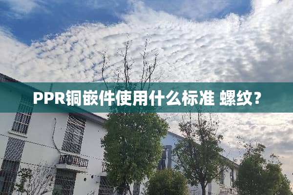 PPR铜嵌件使用什么标准 螺纹？