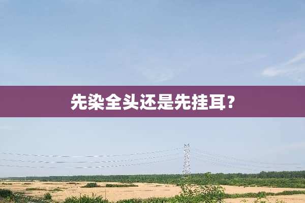 先染全头还是先挂耳？