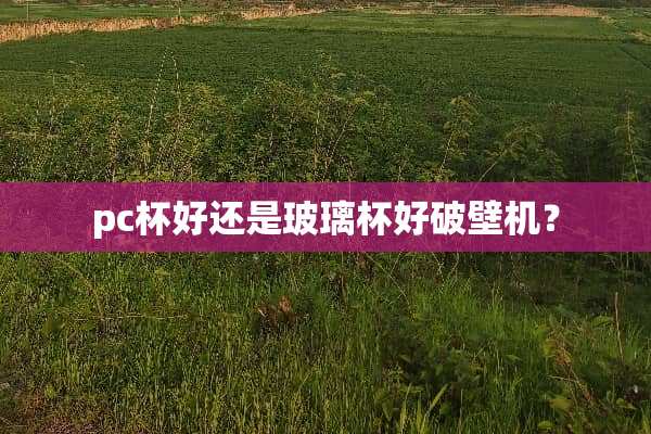 pc杯好还是玻璃杯好破壁机？