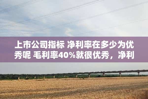 上市公司指标 净利率在多少为优秀呢 毛利率40%就很优秀，净利率呢在多少优秀