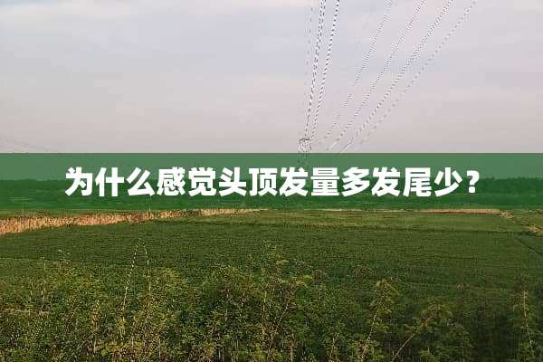 为什么感觉头顶发量多发尾少？