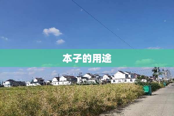 本子的用途