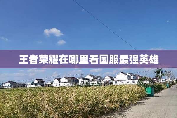 王者荣耀在哪里看国服最强英雄