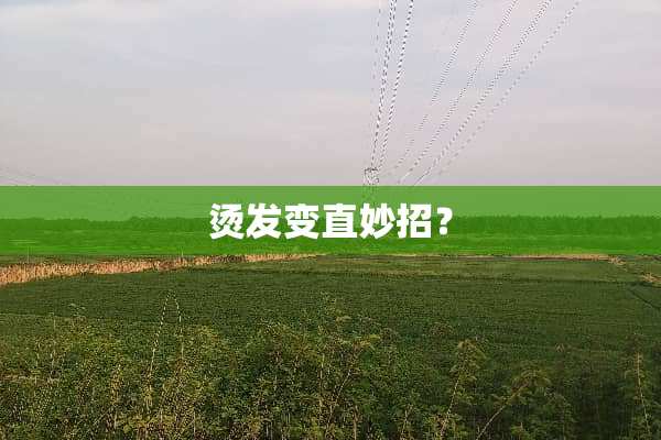 烫发变直妙招？