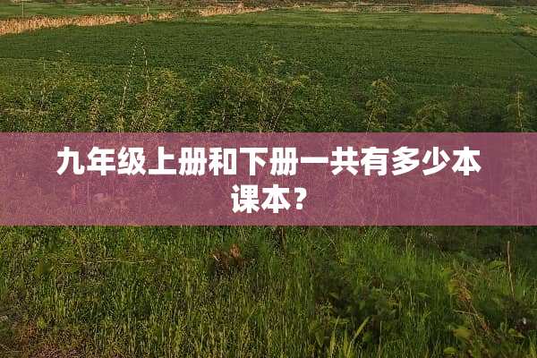 九年级上册和下册一共有多少本课本？