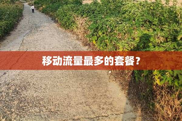 移动流量最多的套餐？