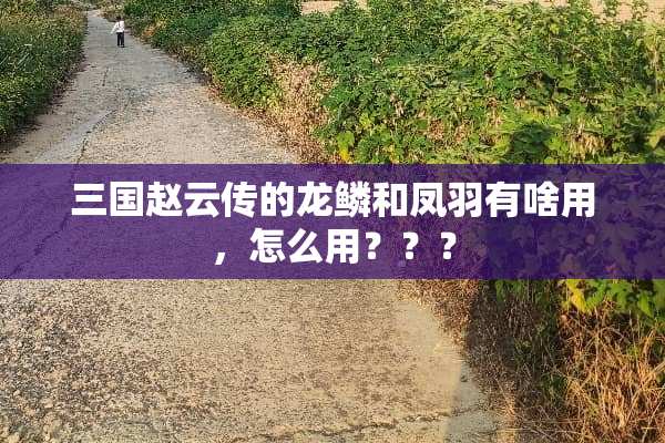 三国赵云传的龙鳞和凤羽有啥用，怎么用？？？