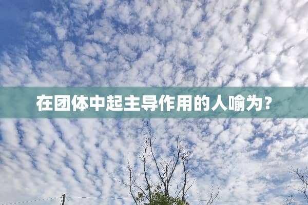 在团体中起主导作用的人喻为？