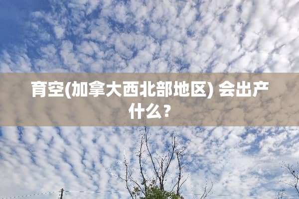育空(加拿大西北部地区) 会出产什么？