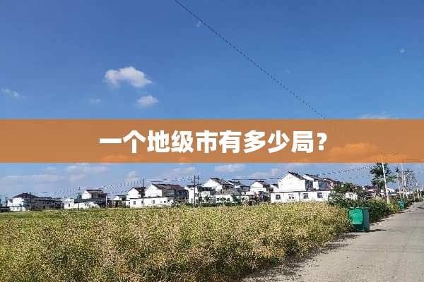 一个地级市有多少局？
