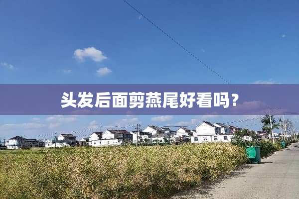头发后面剪燕尾好看吗？