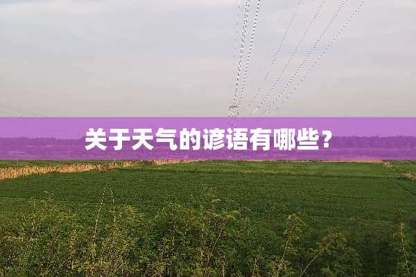 关于天气的谚语有哪些？