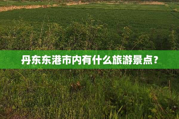 丹东东港市内有什么旅游景点？