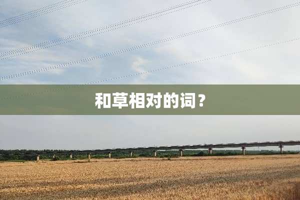 和草相对的词？