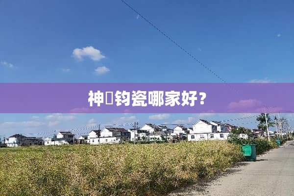 神垕钧瓷哪家好？