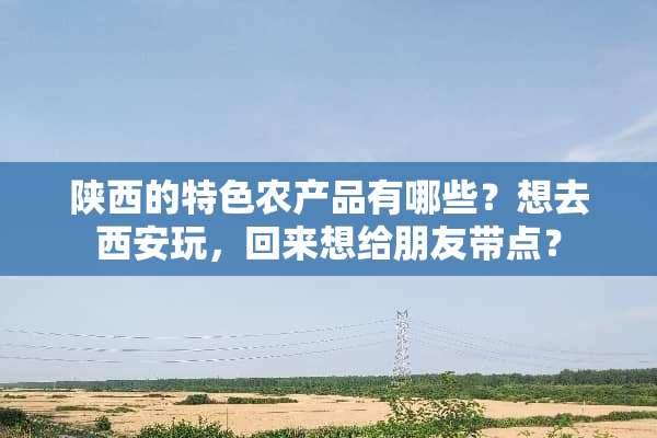 陕西的特色农产品有哪些？想去西安玩，回来想给朋友带点？