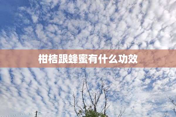 柑桔跟蜂蜜有什么功效