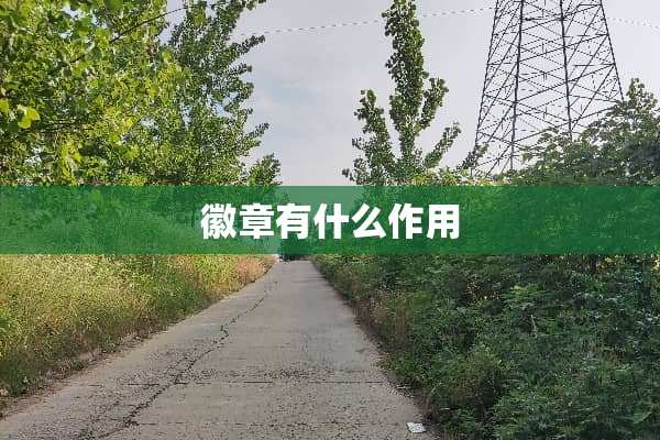 徽章有什么作用