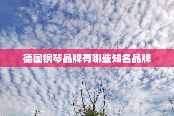 德国钢琴品牌有哪些知名品牌