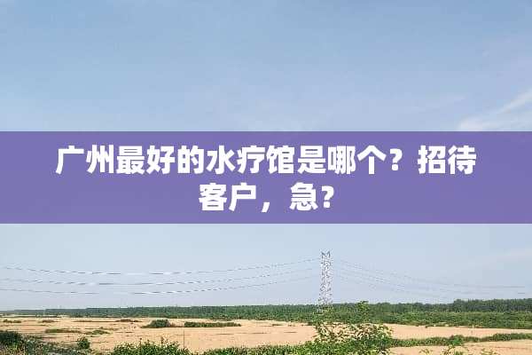 广州最好的水疗馆是哪个？招待客户，急？