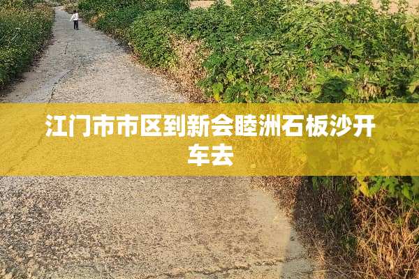 江门市市区到新会睦洲石板沙开车去