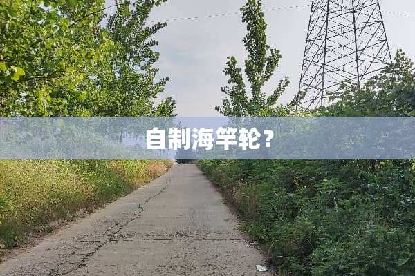 自制海竿轮？
