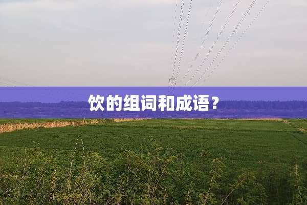 饮的组词和成语？