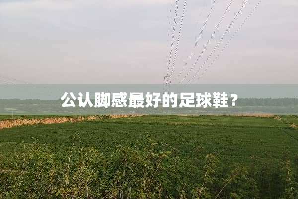 公认脚感最好的**鞋？