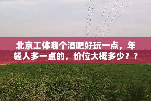 北京工体哪个酒吧好玩一点，年轻人多一点的，价位大概多少？？