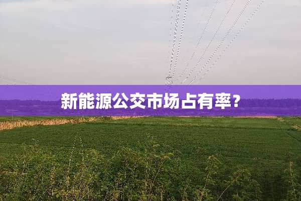 新能源公交市场占有率？
