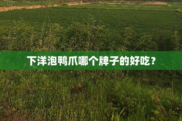 下洋泡鸭爪哪个牌子的好吃？