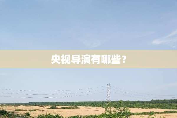 央视导演有哪些？